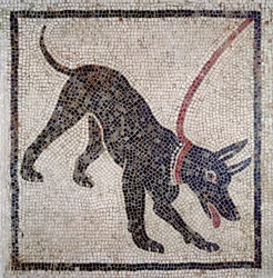 Dog on a Leash, from Pompeii (Mosaic)